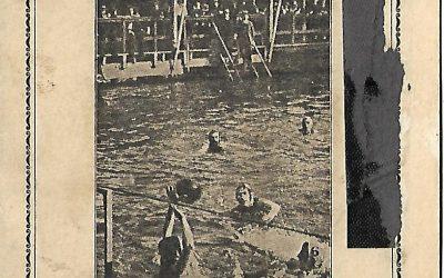 Diploma – Noord Nederlandsche Zwembond (1925)